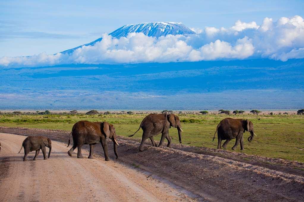 Amboseli Serena Safari Lodge Ανέσεις φωτογραφία