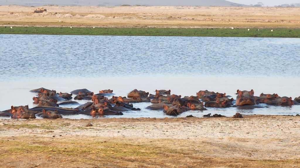 Amboseli Serena Safari Lodge Ανέσεις φωτογραφία