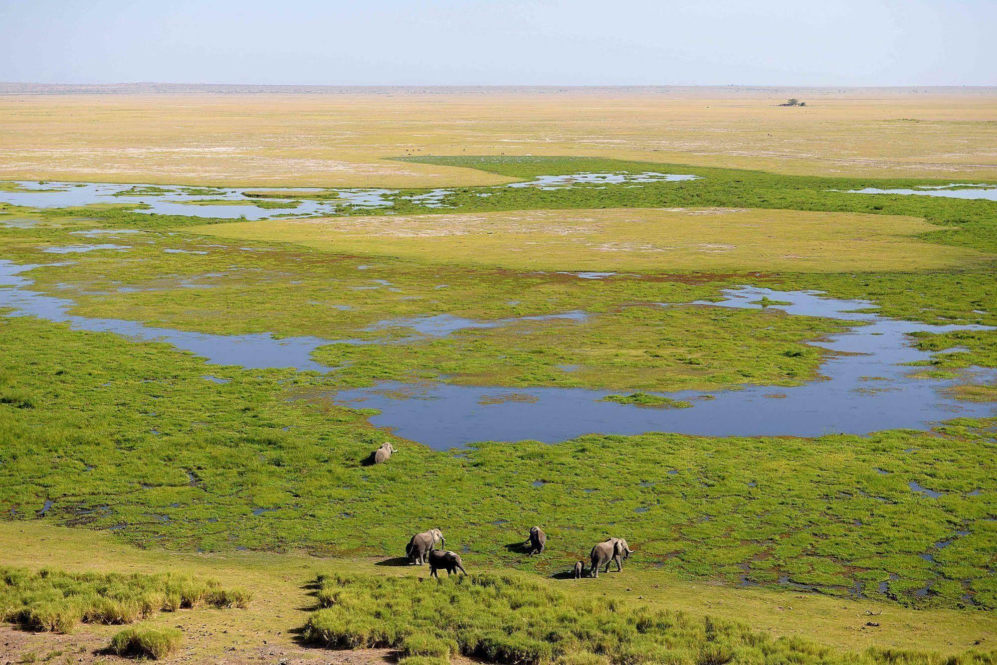 Amboseli Serena Safari Lodge Εξωτερικό φωτογραφία